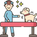 Pet Moving Checklist Essentials